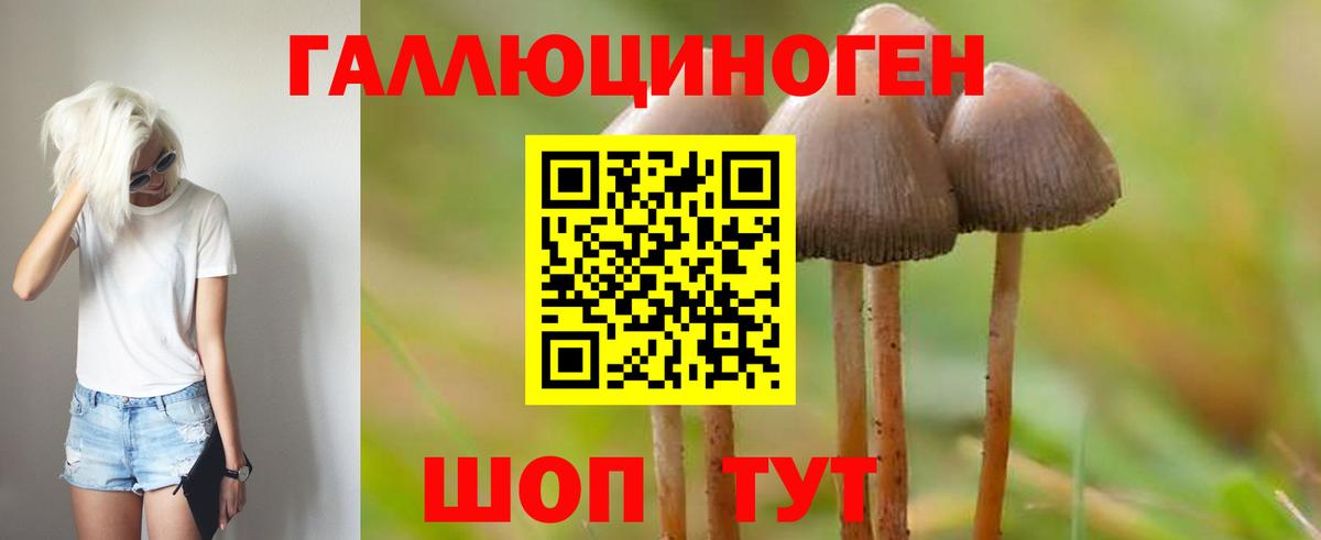 Псилоцибиновые грибы Psilocybine cubensis Мичуринск